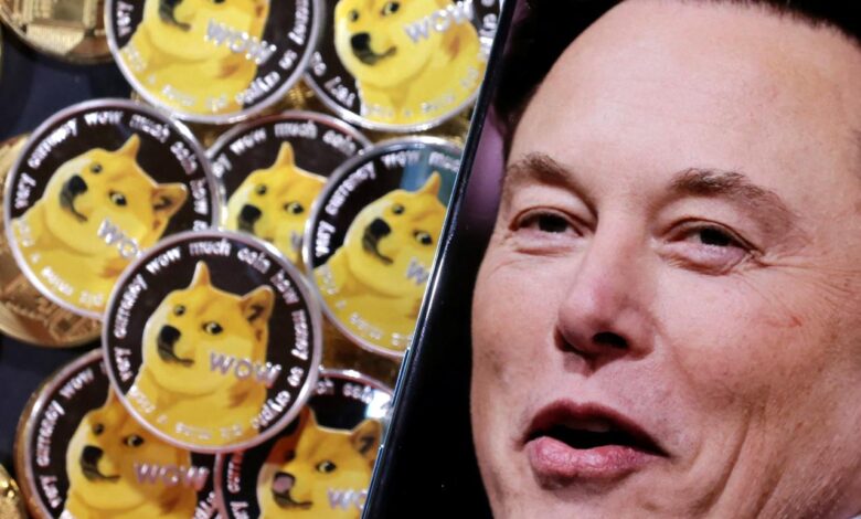 Crypto investor sues elon musk for 258 billion alleging dogecoin pyramid scheme