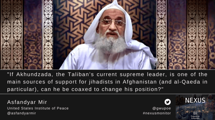 Could the taleban have helped the us against al qaida