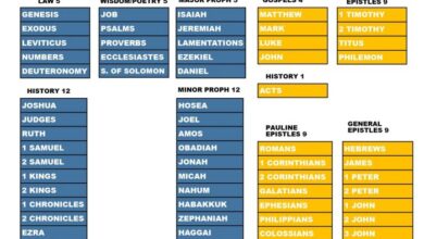 Gospels gospel overviewbible whiteboard testament luke