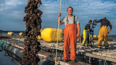 Innovative fish farms aim to feed the planet save jobs and clean up an industrys dirty reputation