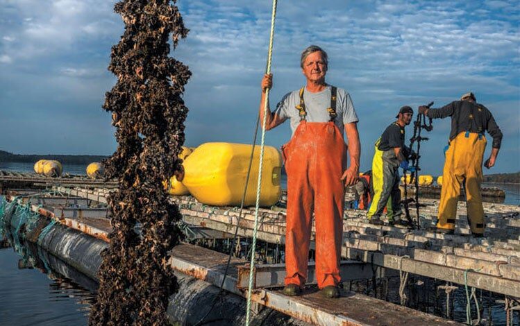 Innovative fish farms aim to feed the planet save jobs and clean up an industrys dirty reputation