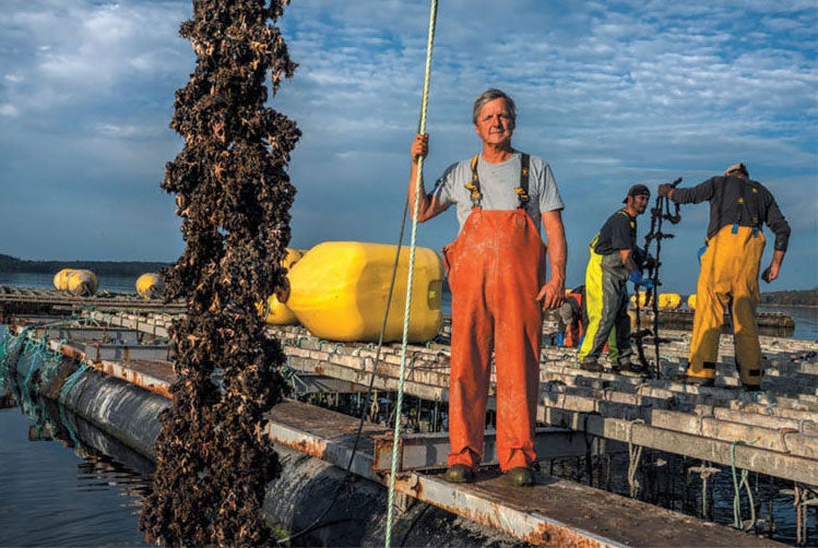 Innovative fish farms aim to feed the planet save jobs and clean up an industrys dirty reputation