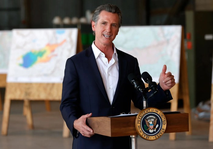 Gavin newsom vetoes california bill creating first in nation ai safety measures