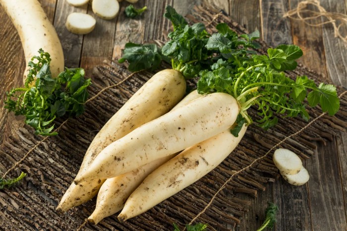 Radish daikon picture produce recipes specialtyproduce