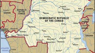 The democratic republic of congo