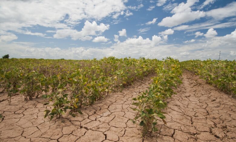 U s farmers struggle through drought to bring food to the table but face more challenges ahead