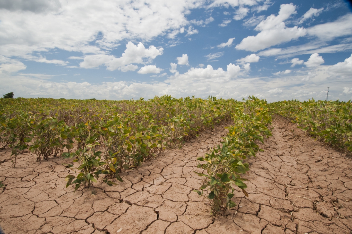 U s farmers struggle through drought to bring food to the table but face more challenges ahead