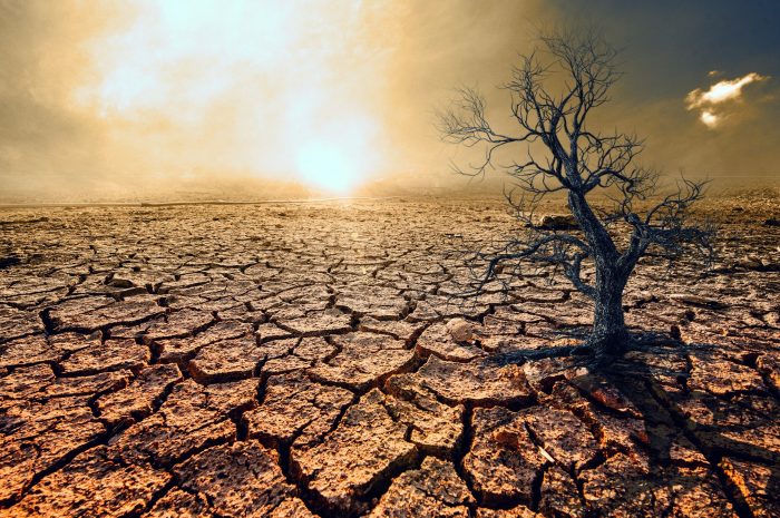 Severe heat and droughts are wreaking havoc across the globe