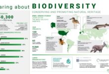 Why is biodiversity important who cares