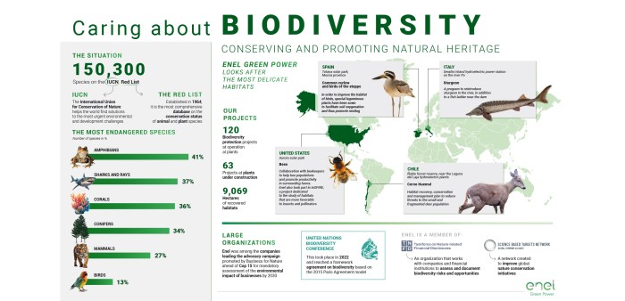 Why is biodiversity important who cares