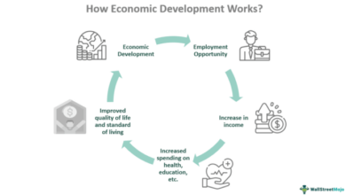 Foreign aid development assistance