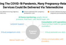 Trimester schwangerschaft trimesters healthdirect so preg