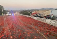 Somehow both tomatoes and alfredo sauce spilled across interstates this week