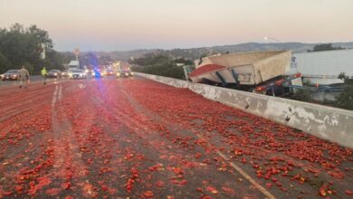 Somehow both tomatoes and alfredo sauce spilled across interstates this week