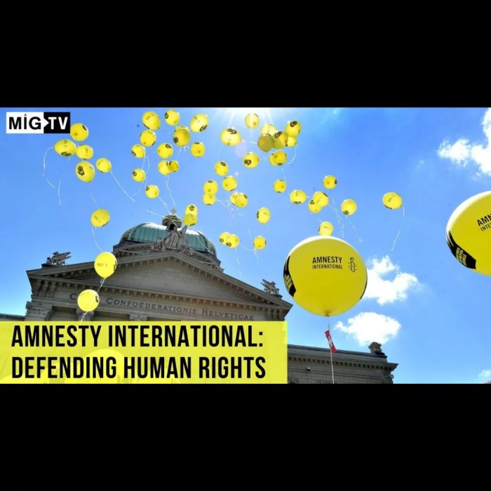 Amnesty international human rights backlash