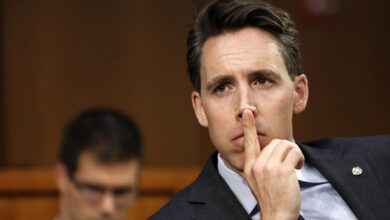 Josh hawley jumps on anti disney bandwagon with copyright bill