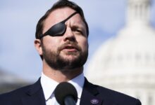 Dan crenshaw crumbles and babbles nra talking points when as for guns solution