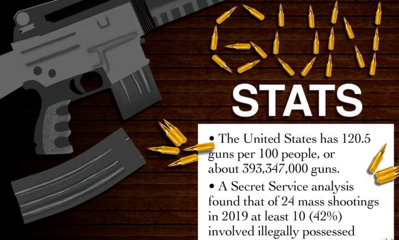 Analysis the flaw in the progressive stance on guns