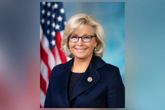 Liz cheney invokes lincoln and grant in impassioned concession speech