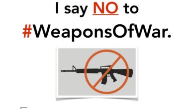 House passes assault weapons ban