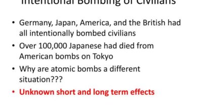 Bombing has been opposite to the stated goals