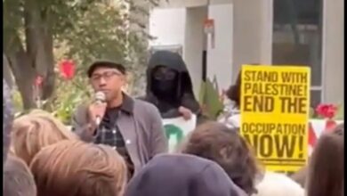 Exclusive cornell professor that cheered hamas oct 7 attack sparks more outrage after marching in anti israel protest