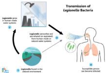 How companies cooling towers can spread a dangerous bacteria