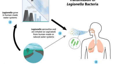 How companies cooling towers can spread a dangerous bacteria