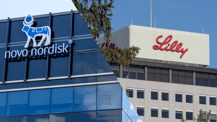 Weight loss market eli lilly and novo nordisks rivals muscle in