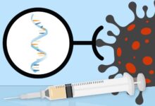 Better fat bubbles could power a new generation of mrna vaccines