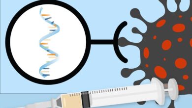 Better fat bubbles could power a new generation of mrna vaccines