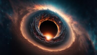 How the inside of a black hole is secretly on the outside