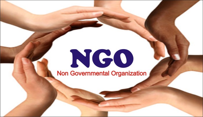 Non governmental organizations on development issues