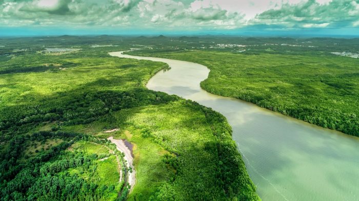 Drought leaves amazon basin rivers at an all time low