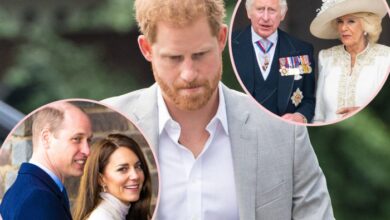 Was meghan markle cropped out of the royal familys birthday tribute to prince harry