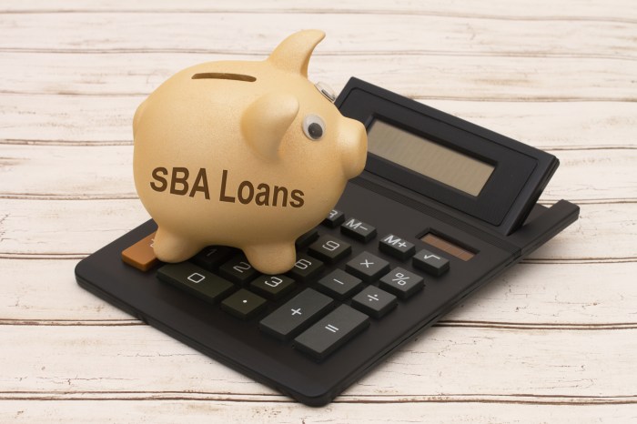 What is an sba loan everything you need to know