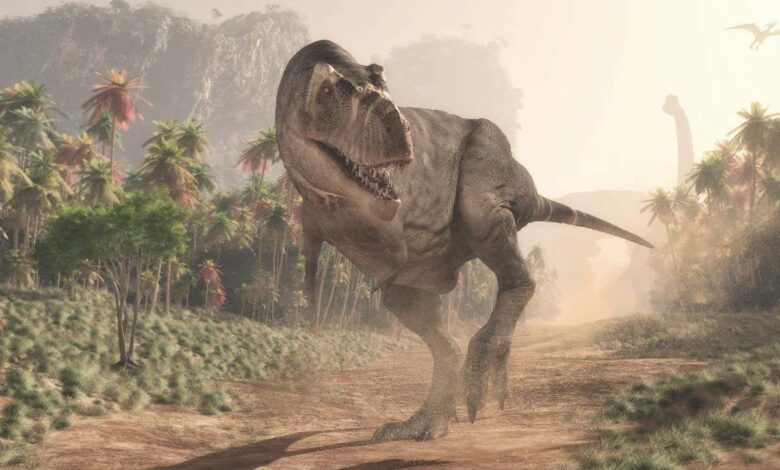 Controversial idea that t rex was three species comes under fire