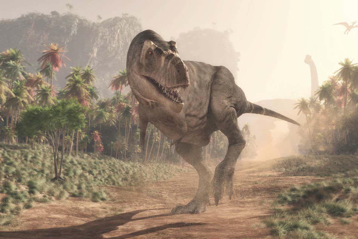 Controversial idea that t rex was three species comes under fire