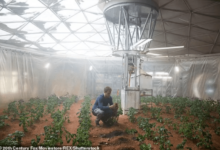 Astronauts might be able to farm on mars one day thanks to a secret ingredient alfalfa