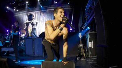 Janes addiction cancel tour after perry farrell attacks dave navarro onstage