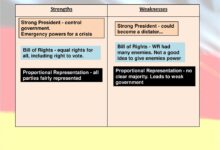 The power and limits of using executive orders to protect abortion rights