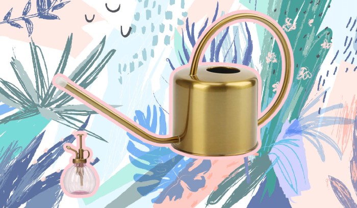 This chic watering can makes me a better plant parent