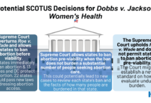 The dobbs v jackson decision annotated