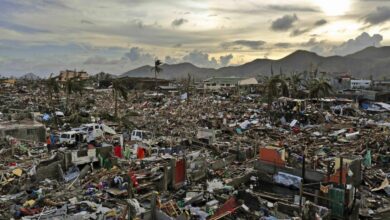 Climate change caused 4 billion of typhoons damage