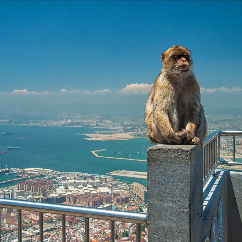 Gibraltar became a hub for crypto