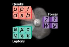 Particle physics could be rewritten after shock w boson measurement