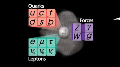 Particle physics could be rewritten after shock w boson measurement