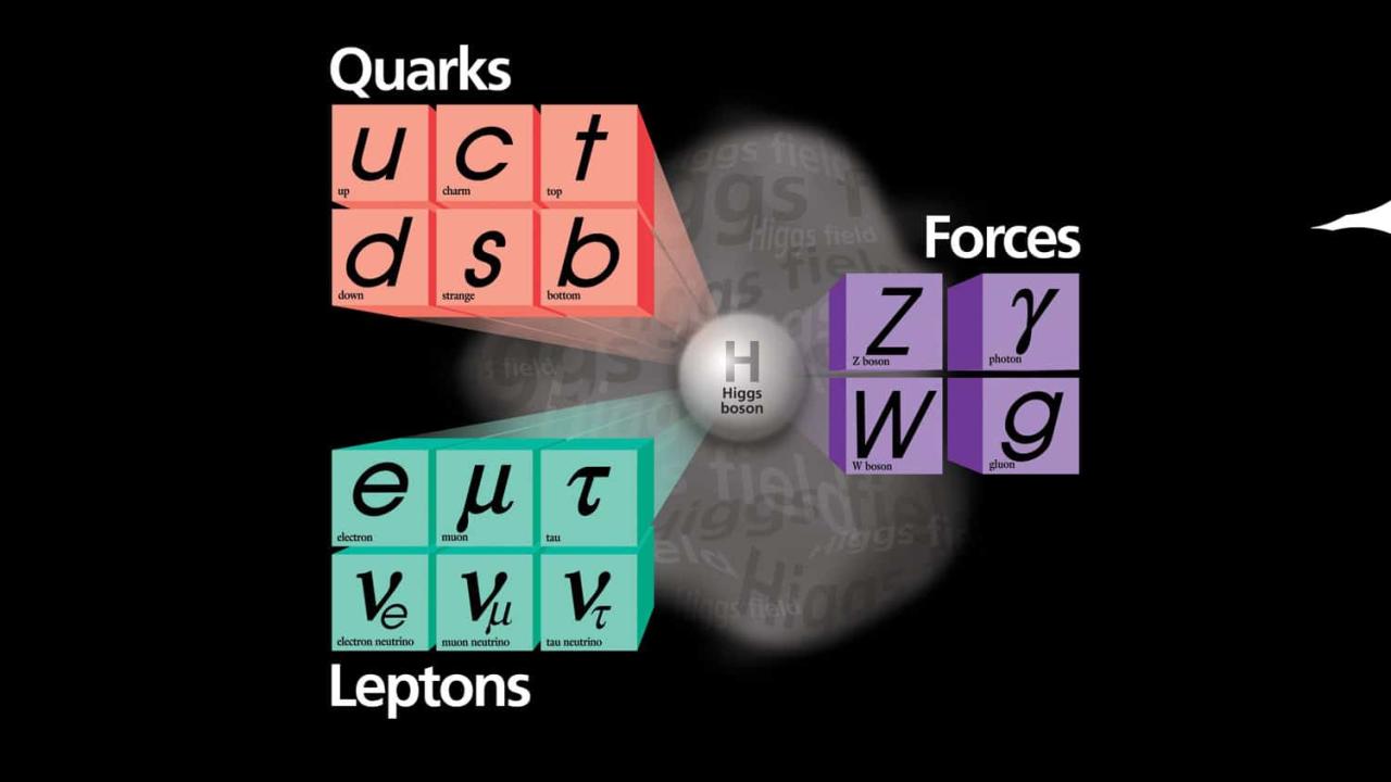 Particle physics could be rewritten after shock w boson measurement