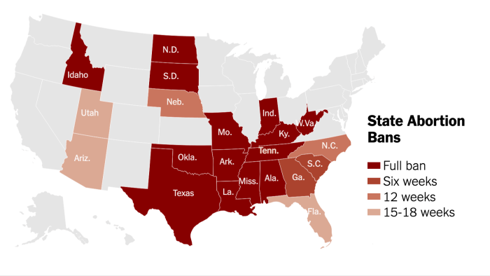 Abortion bans are literally killing us