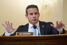 Adam kinzinger is the rare republican with guts as he calls the nra a grifting scam